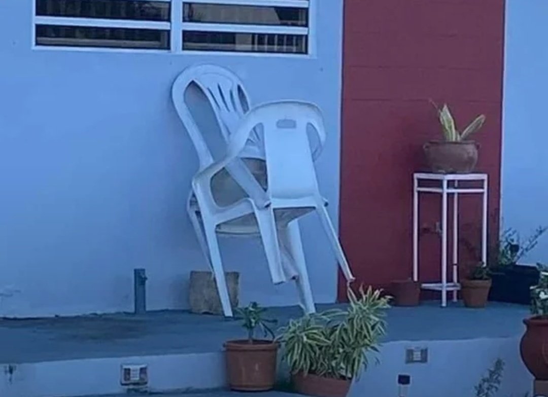 deboraculoss's tweet image. esto ha aparecido en mi casa 

bad bunny me follara el 8 de septiembre de 2025