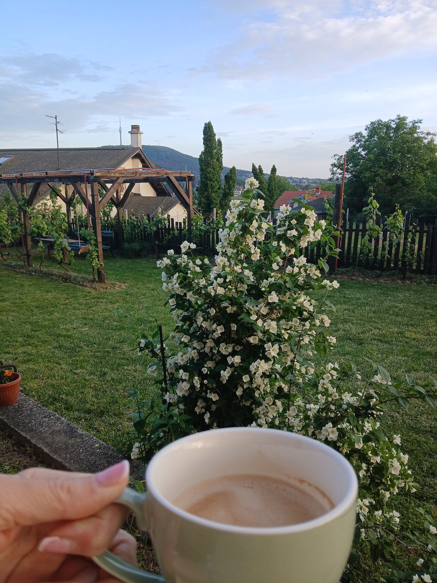 Nekada je ovo bio miran kraj.Živeli smo okruženi fazanima ,deca su uživala.Onda je tik do nas nikao ni manje ni više restoran, usred porodičnih kuća.Sada vikendom "uživamo"u svadbama .Buku niko ne kontroliše i tako.
Žao mi je što nisam 🐌😢😢😢.