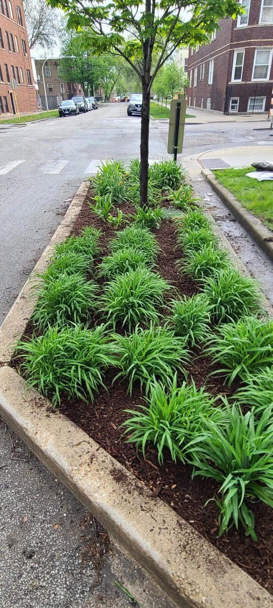 Missionola's tweet image. THANK YOU to @HomeDepot for donating amazing materials and bringing tons of volunteers to get ALL of our properties looking great! Thank you and God bless!