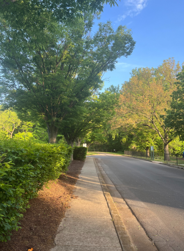 VI_RudeBoy's tweet image. The question to always ask yourself is,
if you only have
one shot at life, given that time is the only asset you can't control, but anything else that exists is malleable, would you want to spend your life the exact way you're spending it now?

And if not, why not?  

For one…