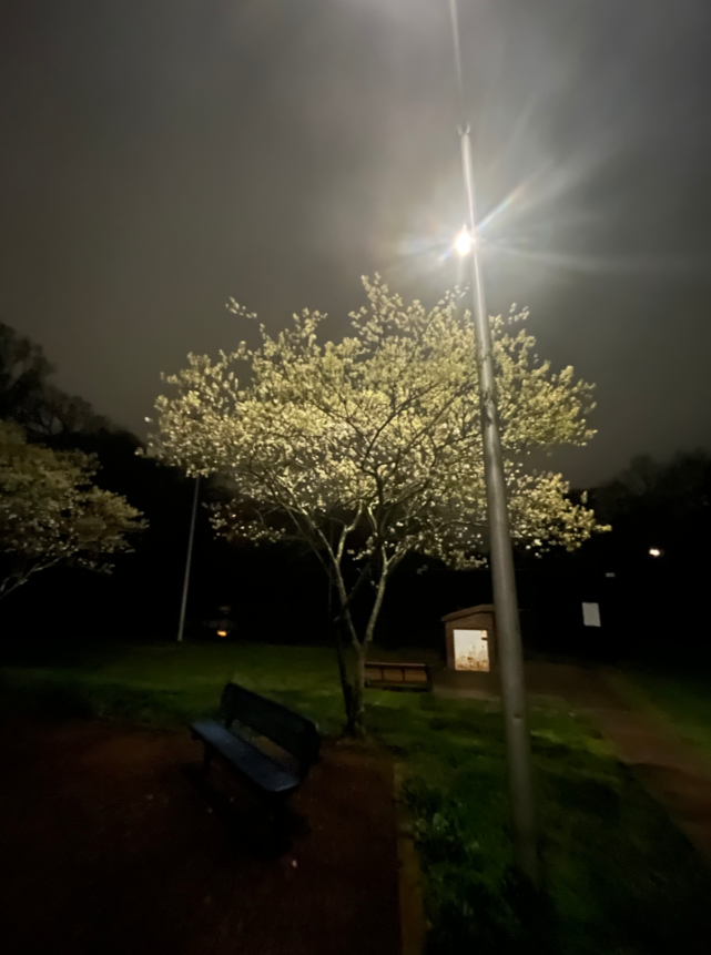 VI_RudeBoy's tweet image. The question to always ask yourself is,
if you only have
one shot at life, given that time is the only asset you can't control, but anything else that exists is malleable, would you want to spend your life the exact way you're spending it now?

And if not, why not?  

For one…