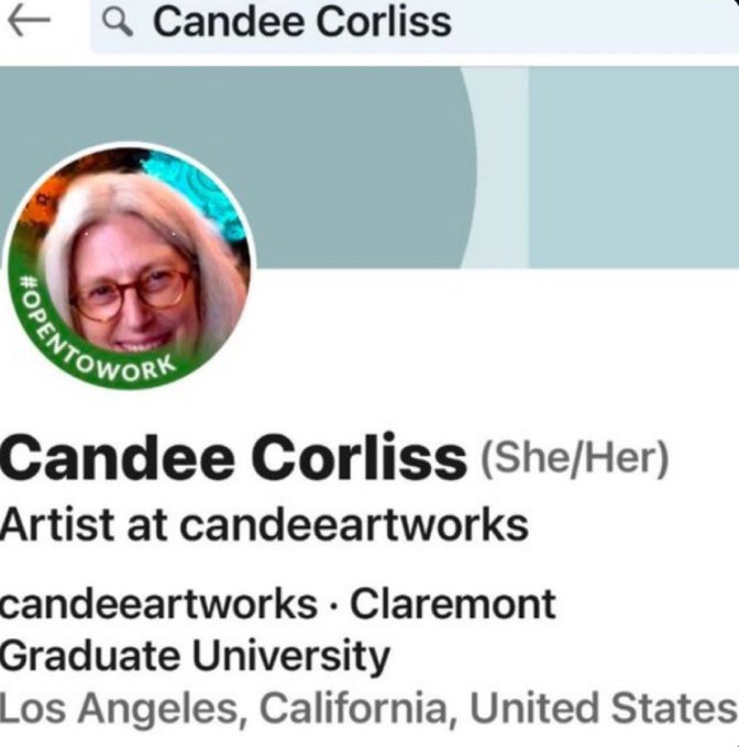 LH-America First tweet media