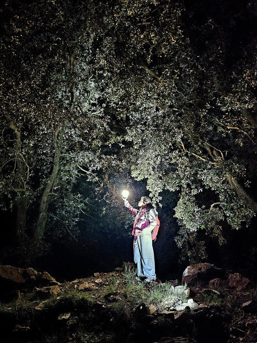 Caminar pels corriols de les #MuntanyesdePrades, a la nit, fa respecte.
Els barrancs feréstecs que de dia ja són prou tortuosos, de nit són un escenari d'ombres, sons i vida que fa que tot sovint ens aturem, de por, de sorpresa o de pur sentiment de meravella.
#caminades