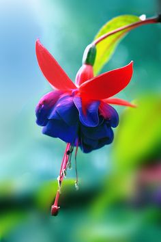 Buona settimana cari amici 🌹💙🌹youtu.be/88eJE9ReNeY?si…