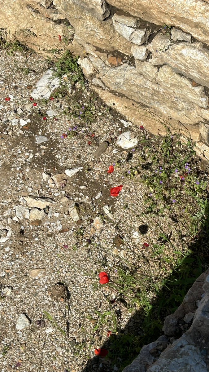 пытаюсь доснимать агат, виды и природа вокруг располагают