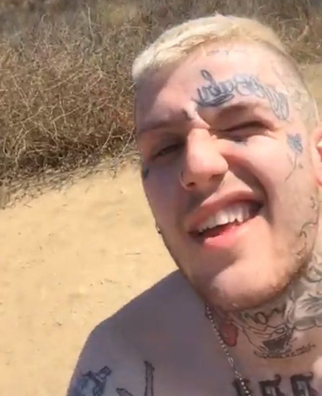 charlotte tweet media