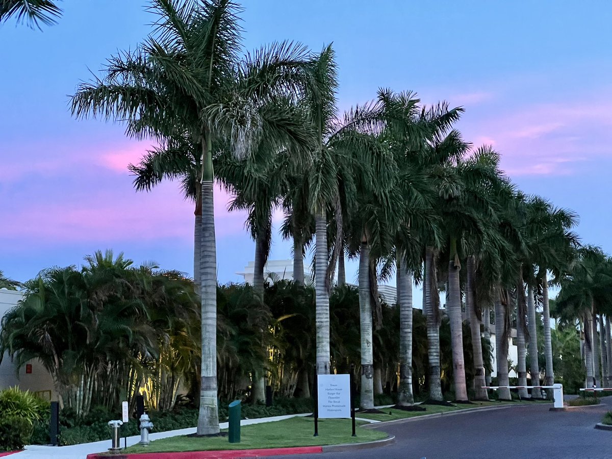 I am enjoying everyone’s #SundaySunsets so much, I wanted to share another! 💕🌴☀️ Here’s the glamorous entrance to #TheBocaRaton! Can’t wait to be back next month. 😍 This sky and these palm trees! #BocaRaton #travel #familytravel #luxurytravel #Florida