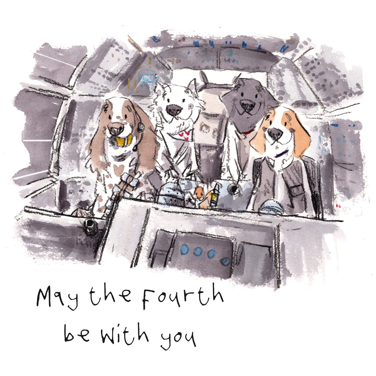 Good night, lovely people and lovely dogs.
Happy #StarWarsDay. May the fourth be with you.
Sleep well and sweet dreams.
I am wishing you the very best for the week to come. 
#hoorayfordogs #springer #westie #labrador #beagle #redsquirrel