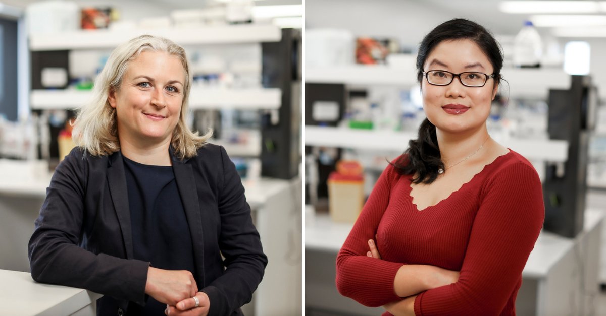 CMRI (@cmri_aus) on Twitter photo Congratulations to Jessie Gao and Hilda Pickett for their recent publication exploring therapeutic targets and strategies for cancers that relay on the alternative lengthening of telomeres (ALT) pathway. Read more: pubmed.ncbi.nlm.nih.gov/40210445/ Congratulations to Jessie Gao and Hilda Pickett for their recent publication exploring therapeutic targets and strategies for cancers that relay on the alternative lengthening of telomeres (ALT) pathway. Read more: pubmed.ncbi.nlm.nih.gov/40210445/