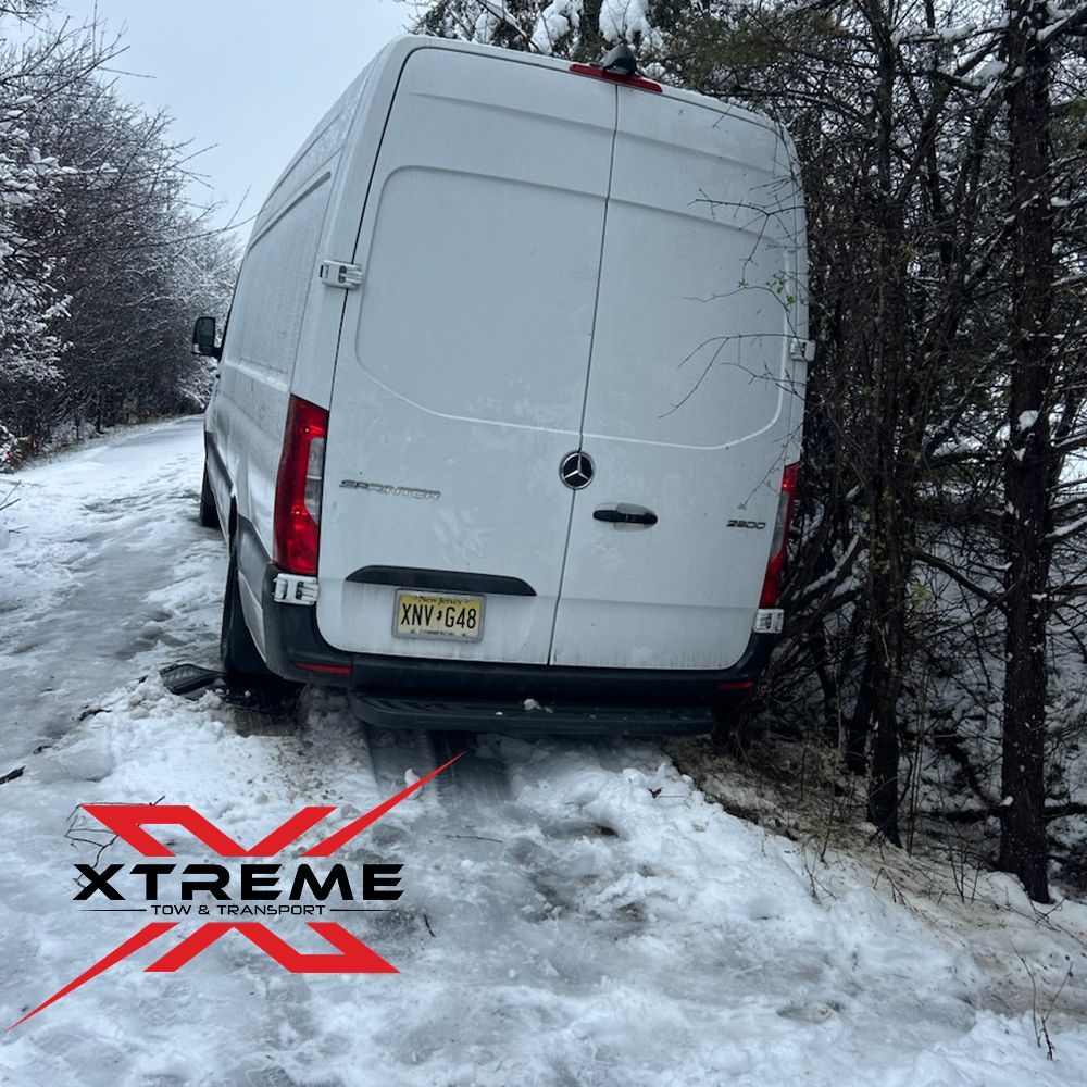 WinterRescue - Search  X