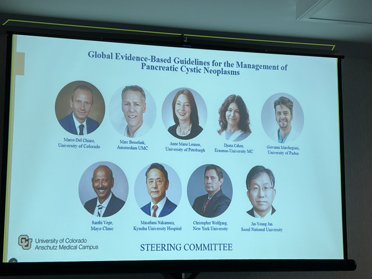 CUpancreas tweet media