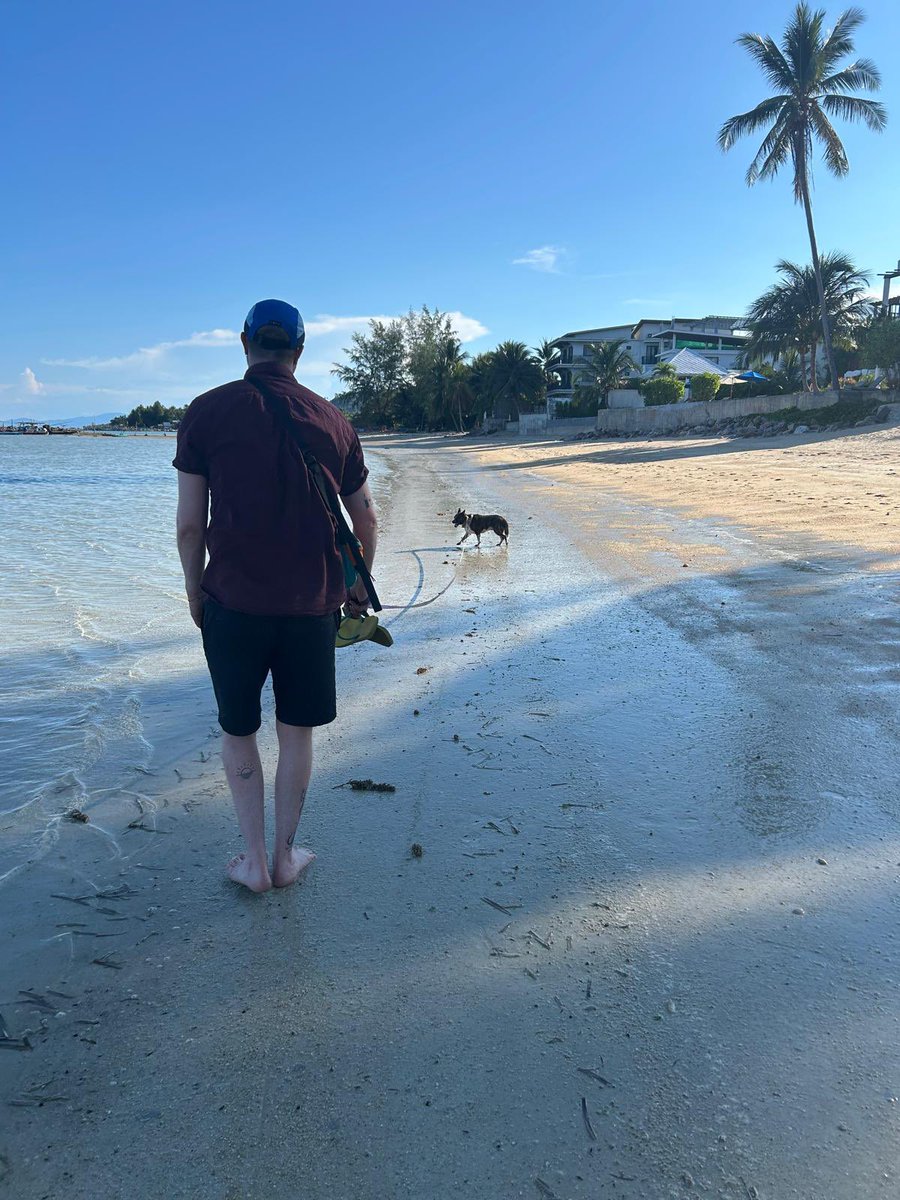 Niall Harbison tweet media