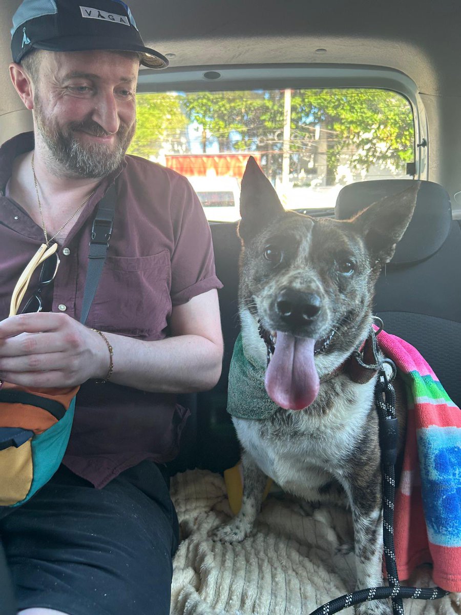 Niall Harbison tweet media