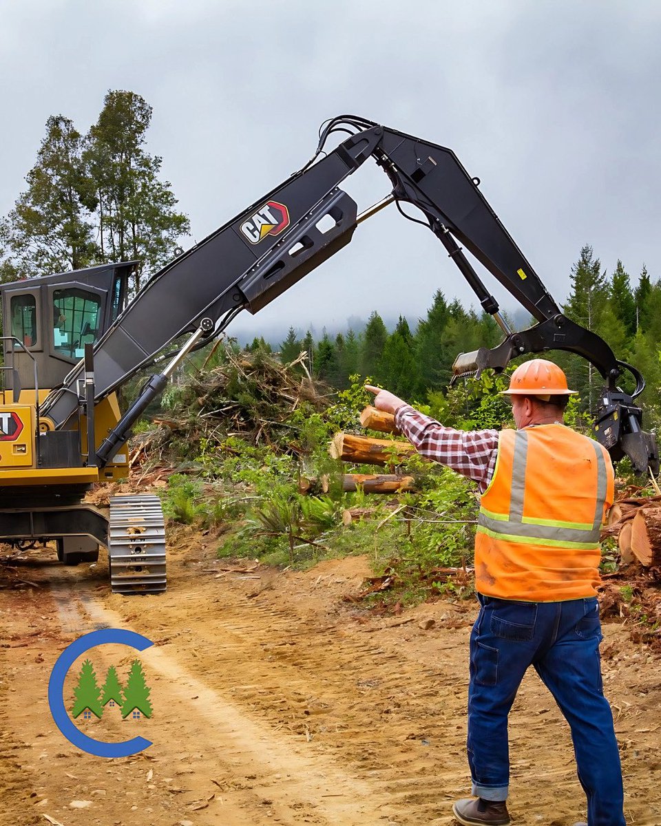 Our forests are dying faster than they’re growing. Mismanagement is costing us tree health and carbon storage. It’s time for real solutions.

Comment your thoughts below—how should we protect our forests?

#SaveOurForests #ActNow 🌳