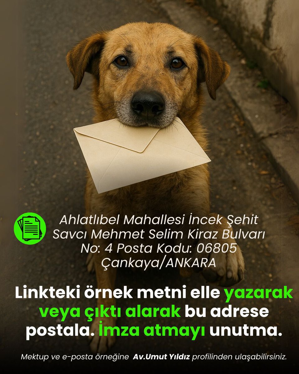 Umut Yıldız (@avumutyldz) on Twitter photo <a href="/AYMBASKANLIGI/">Anayasa Mahkemesi</a> Anayasa’nın ve vicdanın sesi olmaya; bu düzenlemenin yürürlüğünü durdurmaya ve iptaline karar vererek, yaşam hakkına sahip çıkmaya davet ediyoruz.
#AymYasayıİptalEt
Mektup İçin👇🏾
docs.google.com/document/d/1-D… <a href="/AYMBASKANLIGI/">Anayasa Mahkemesi</a> Anayasa’nın ve vicdanın sesi olmaya; bu düzenlemenin yürürlüğünü durdurmaya ve iptaline karar vererek, yaşam hakkına sahip çıkmaya davet ediyoruz.
#AymYasayıİptalEt
Mektup İçin👇🏾
docs.google.com/document/d/1-D…