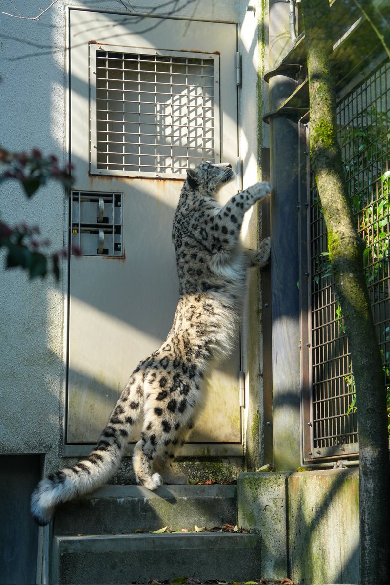 大きくなったね😊

 she has grown so much…
 time flies…!

#ヒメル
#ずっと元気でいてね