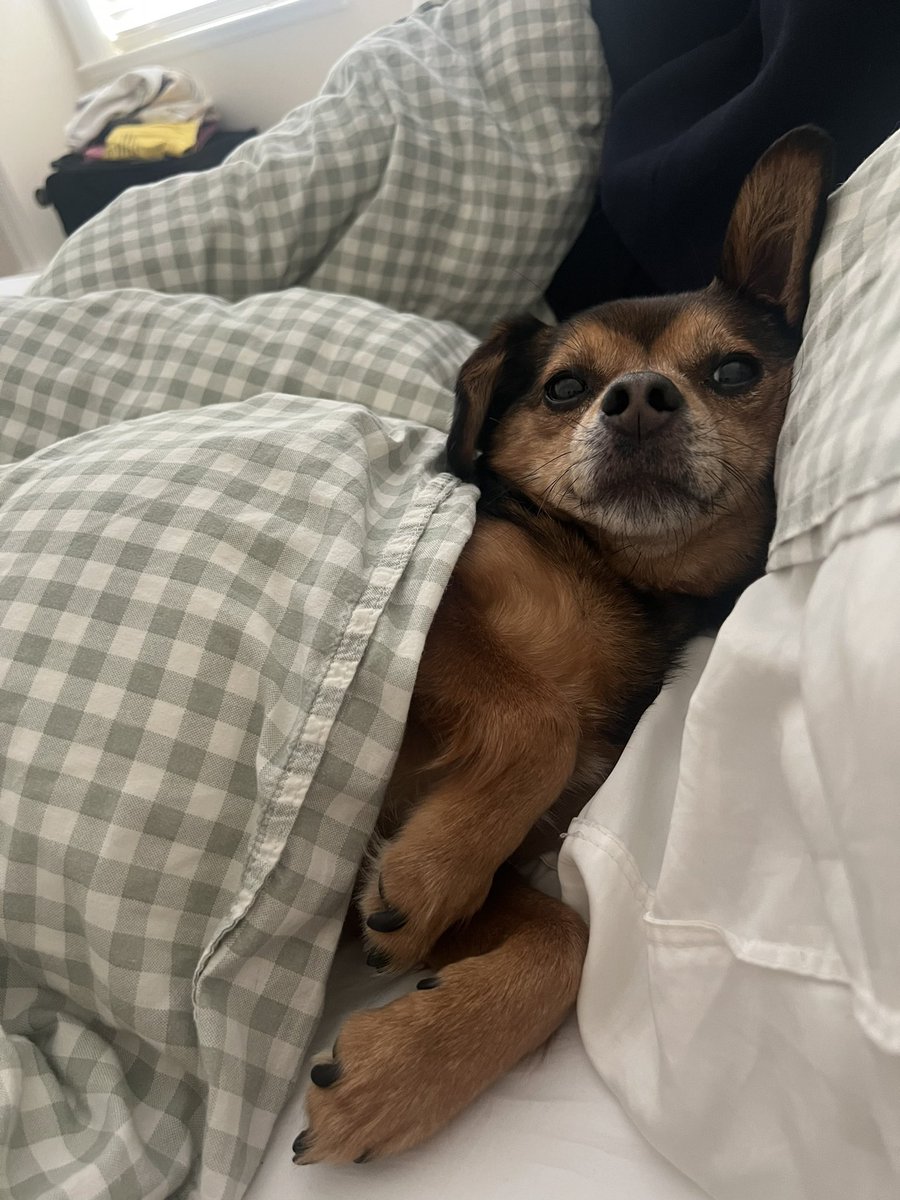 No one’s ever been this cozy…..