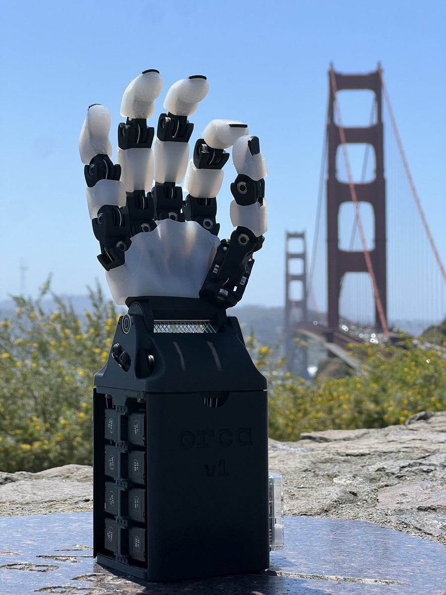 When your <a href="/orcahand/">orcahand</a> escapes the lab and goes sightseeing…