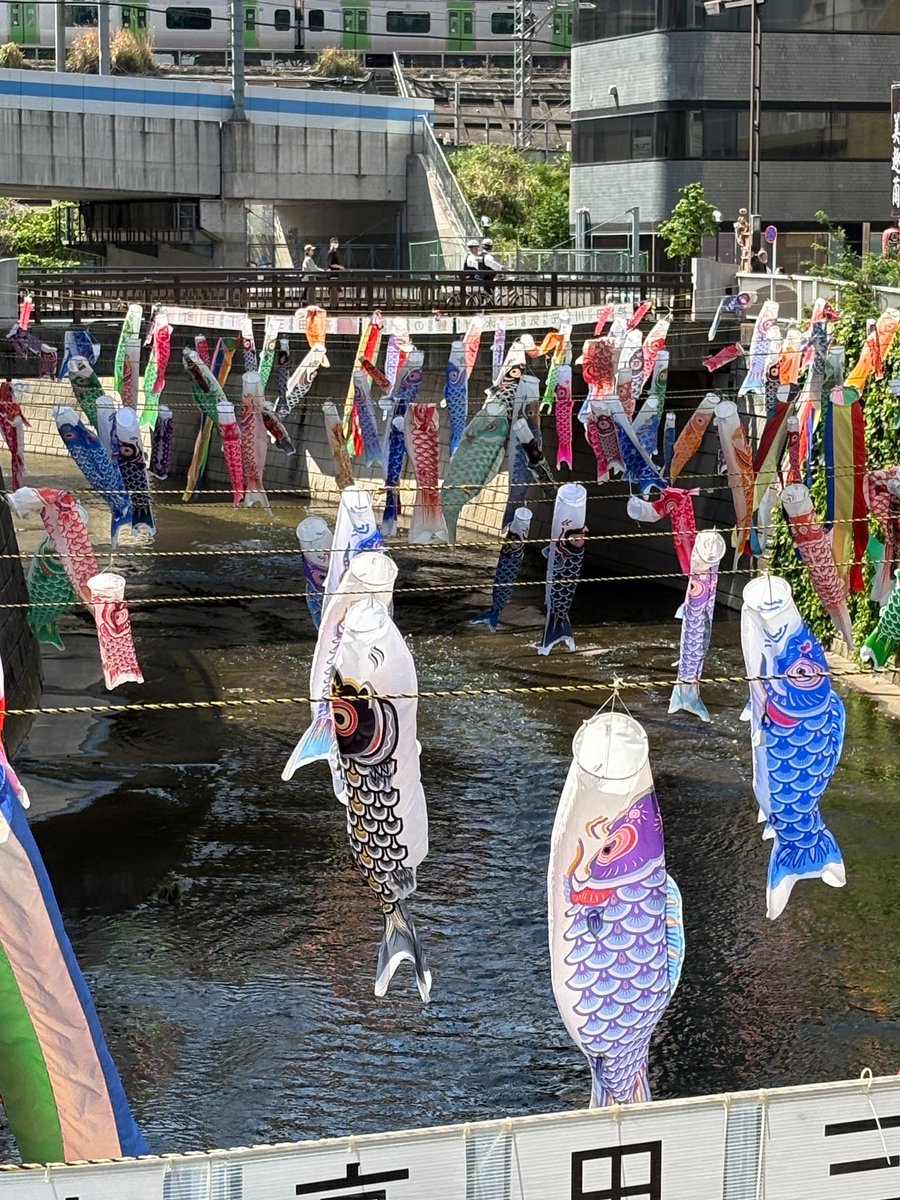 おはようございます☀

先週から会社前の神田川に鯉のぼりが！
春の心地よい風にゆらめく大群は壮観でございます🎏

時間を忘れてぼーっと眺めてしまう個人的癒しスポット✨

高田三丁目町会の皆さま今年もありがとうございます🙇‍♂️

みなさまもどうぞ笑顔でご安全に🦺

#企業公式相互フォロー