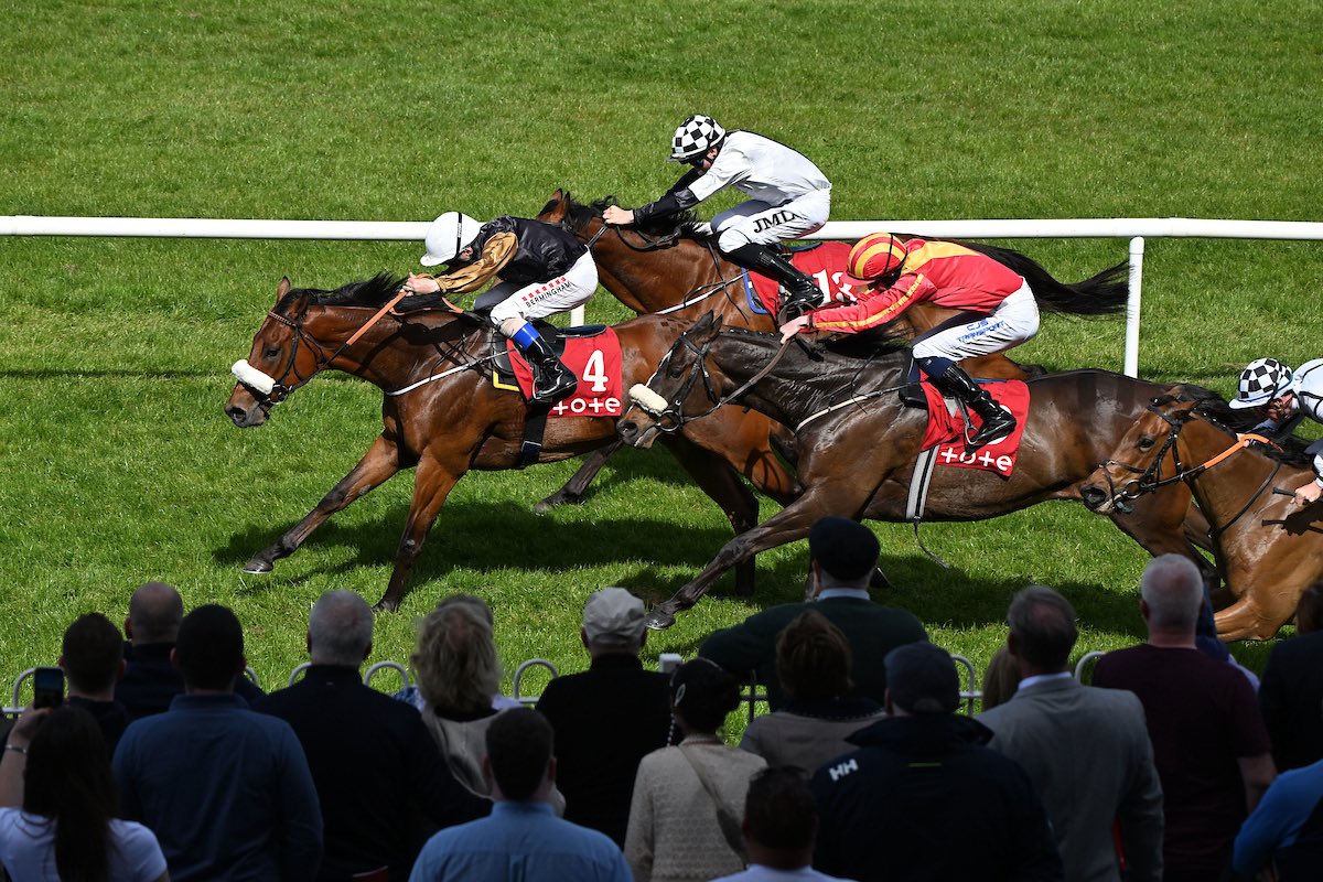 Harty Racing tweet media