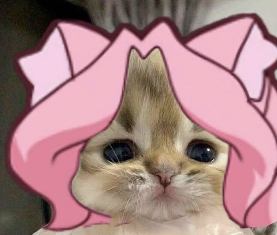 mooni 🐈💨| MOON CAT VTUBER🌙 tweet media