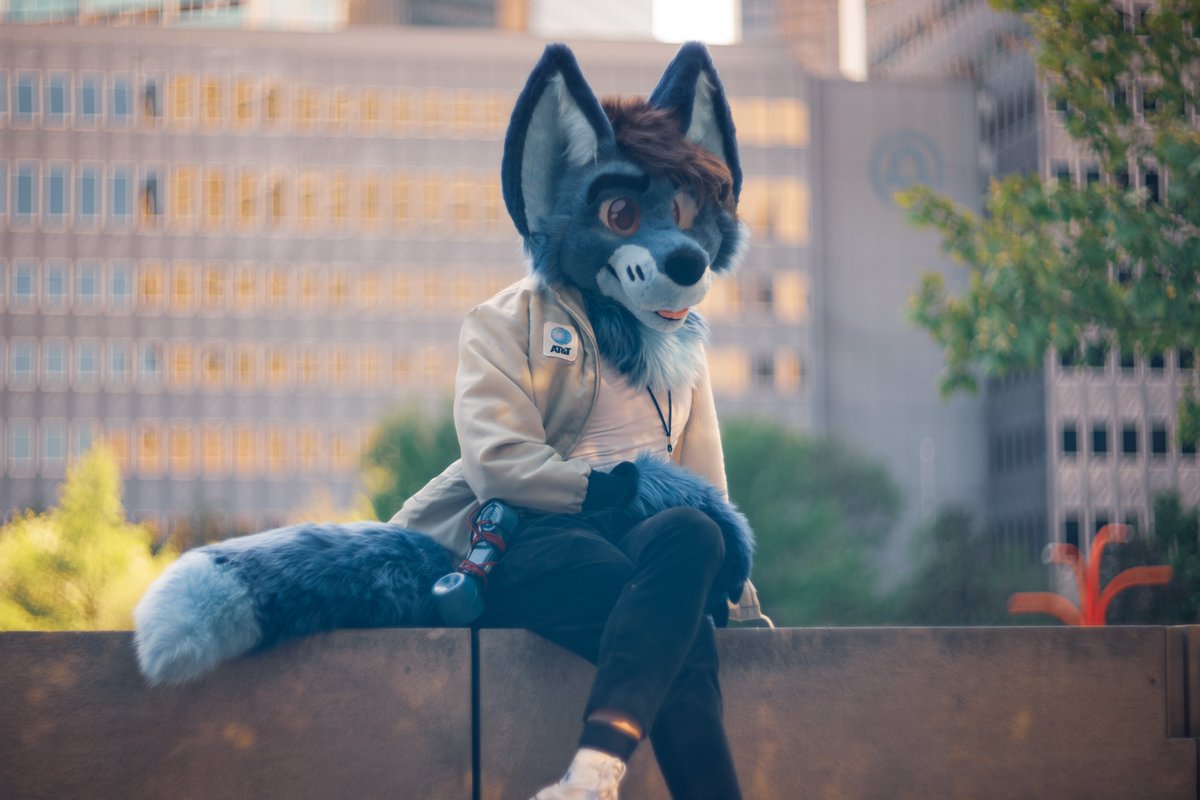 BellTelFox's tweet image. Out on his lunch break

📸 @PixelDerg