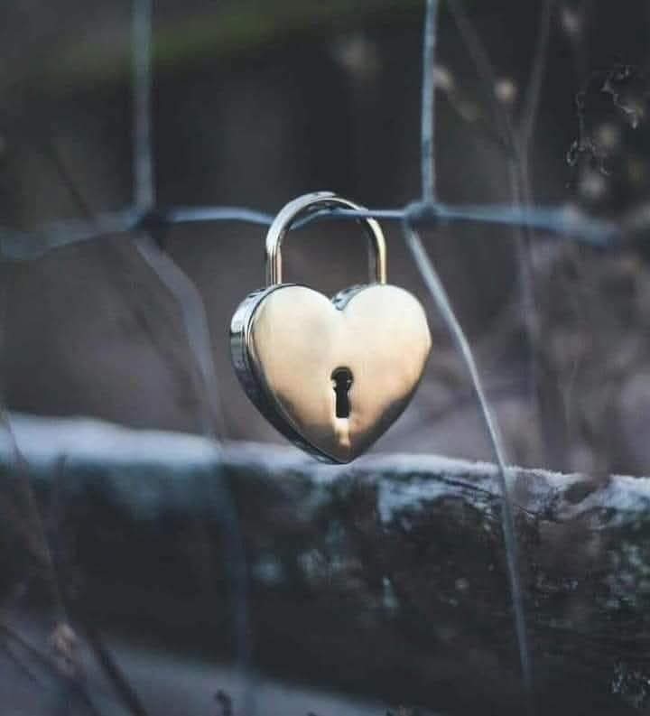 " لا تطرق أبواباً تقيِّدها الأقفال طلباً للإهتمام فهي ليست لك
القلوب التي صُنِعت لأجلك لا أبواب لها "