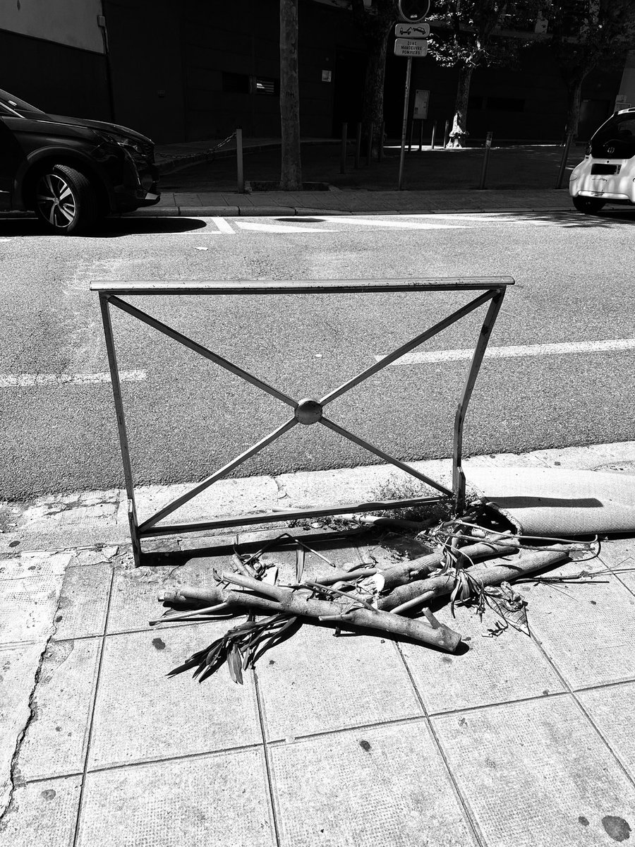 Alonein43672278's tweet image. #photography #blackandwhite #railing #branches