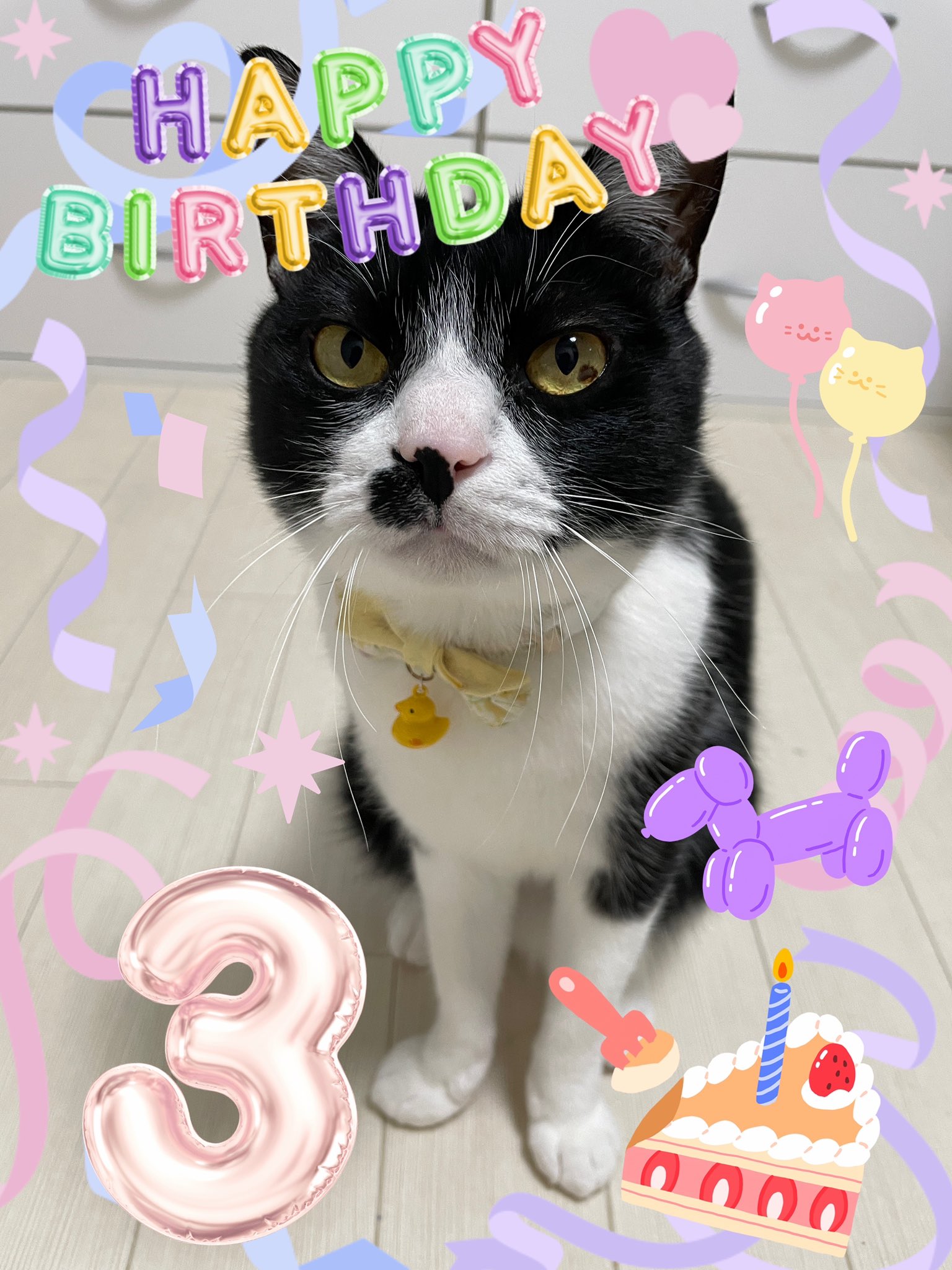 幸せな毎日をありがとう - Search / X