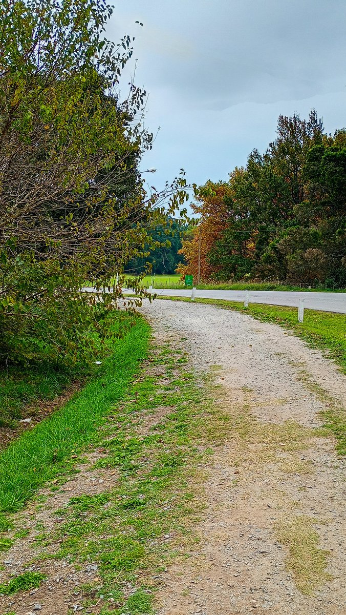 Caminar en Otoño en #Tandil puede verse así: