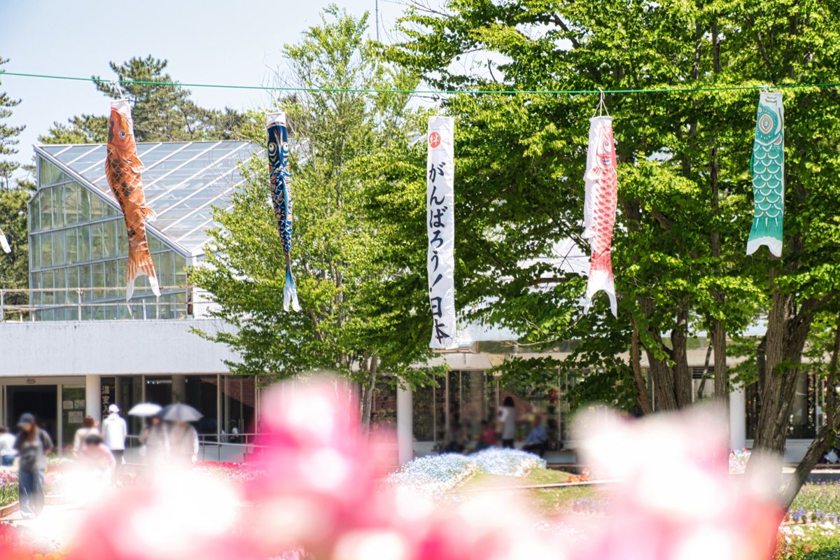 今日も良い天気☀
5月も宜しくです
#端午の節句 #頑張ろう日本