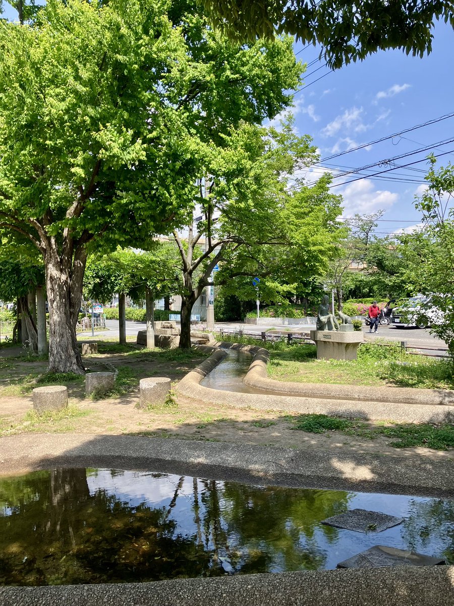 KurodaJunichi's tweet photo. 犬の散歩だとすぐそこ！の公演も一人だと遠いなぁ🚶
#まる https://t.co/wpaiVwN5nZ