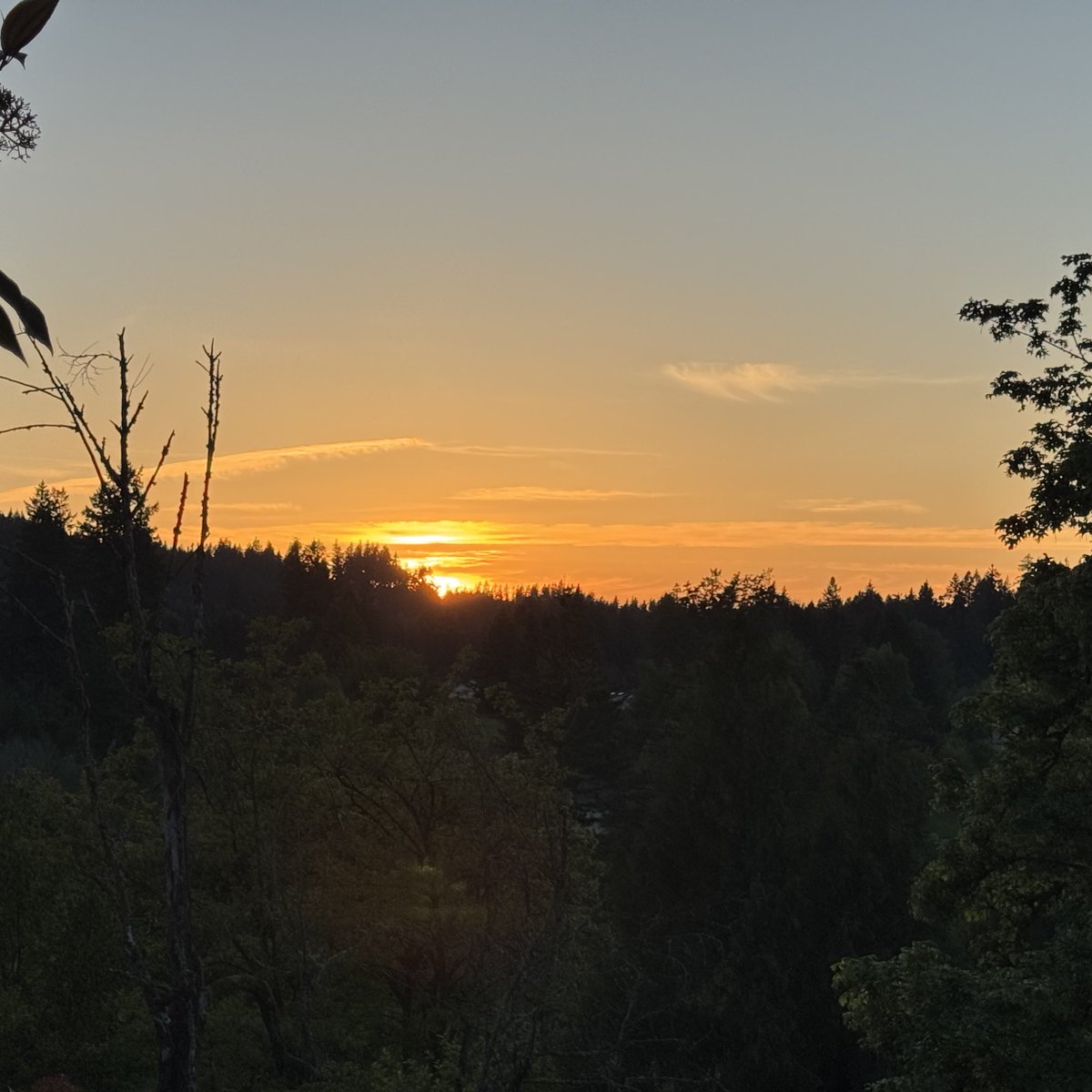 Ian St. Germane 🇺🇸🥃🍸🥂🍾 tweet media