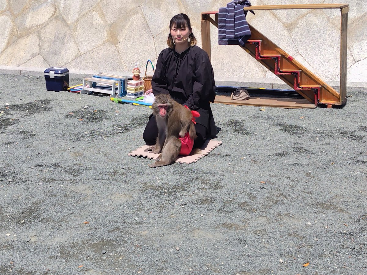 deyodayo's tweet image. フットゴルフ前に豊川稲荷で明日の必勝祈願！
たこ焼きはついでです🐙
#たこ焼きおじさん
#四季桜
#ねぎだこ