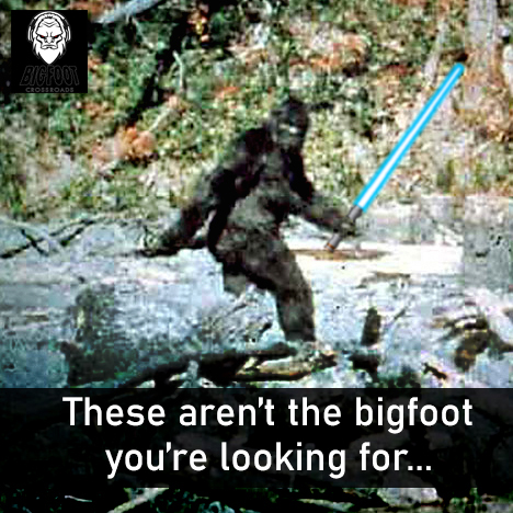 rlowery98's tweet photo. @ReallySasquatch https://t.co/aB36QH5uo7