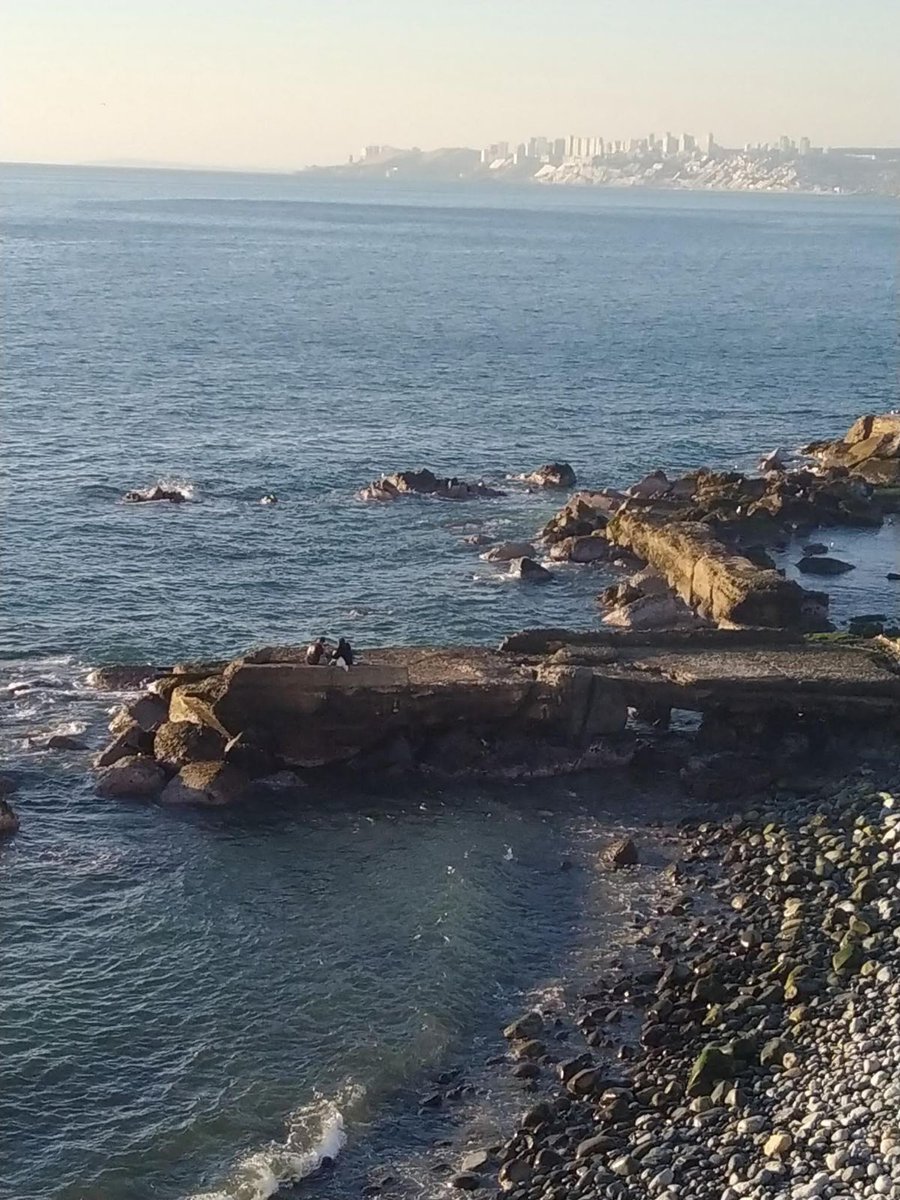 sarq_83's tweet image. #Lugar que me gustaría #rediseñar para #complementar el uso no formal que le están dando en #Valparaiso