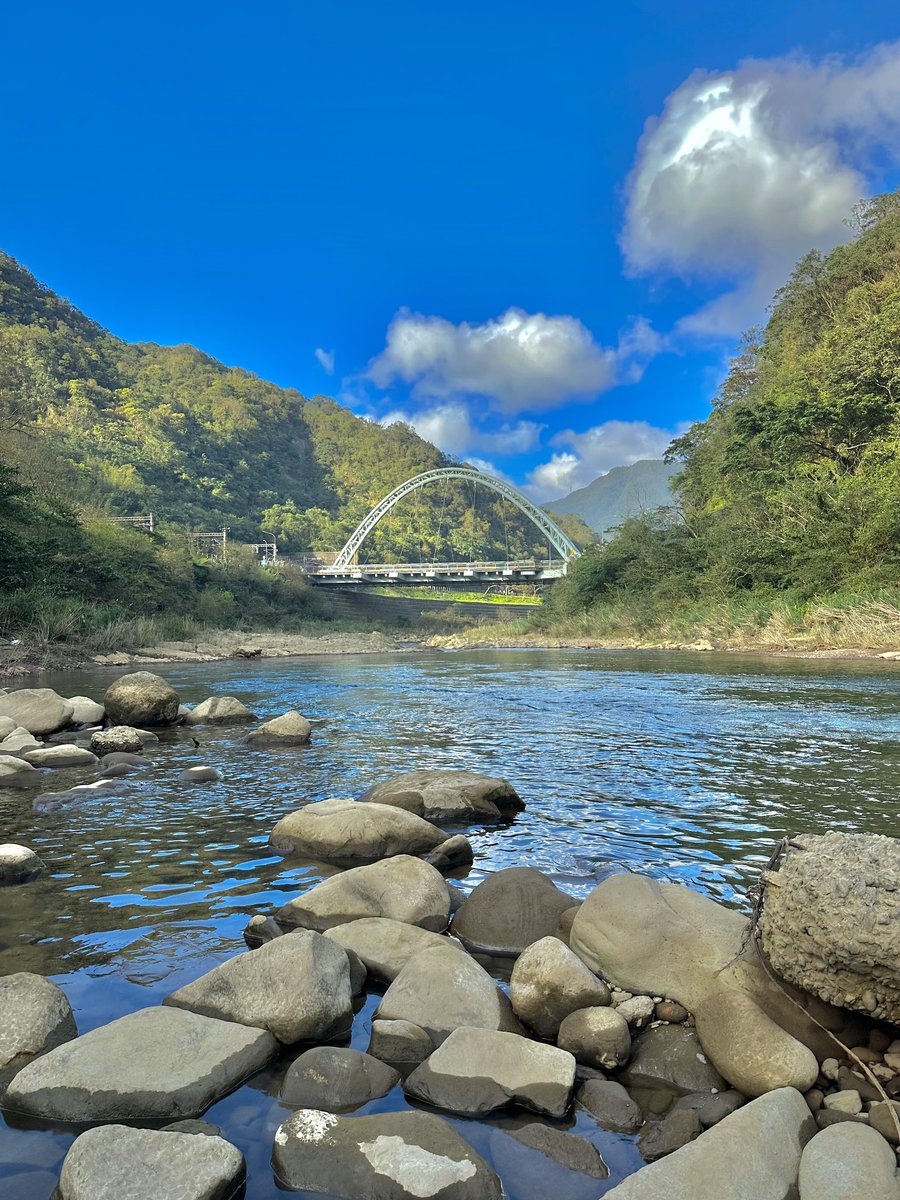 城市の喧騒から離れて、新北でのんびりと過ごすのもいいですね。ゆったりとした猫たちと出会い、台湾の山の街ならではの温かさを感じてみてください😺🌄✨