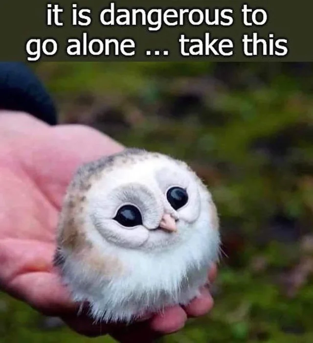 WholesomeMemes tweet media