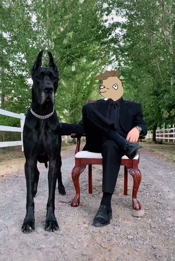 I don’t bark. The market does. 🦴🐕💼