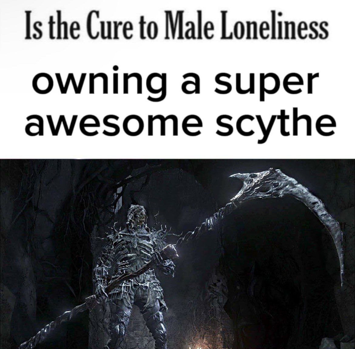 nocontextmemes's tweet photo. https://t.co/hb5PHoWbe9