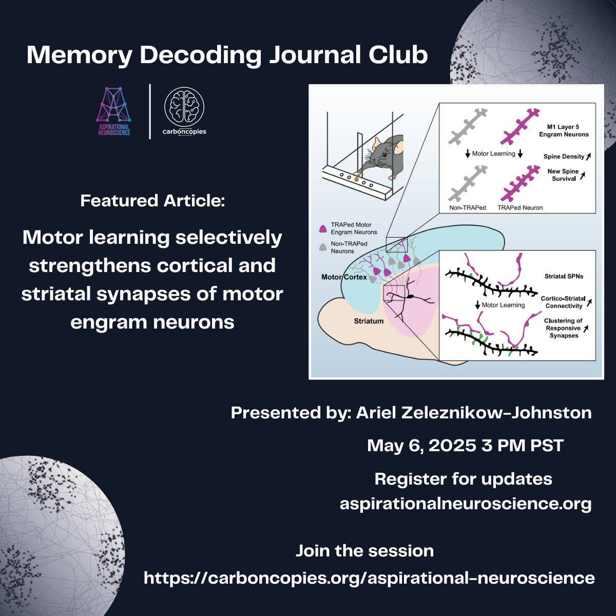 Join Us for the Memory Decoding Journal Club! - Motor learning selectively strengthens cortical and striatal synapses of motor engram neurons
carboncopies.org/Events/Journ... #Neuroscience #MemoryResearch #MotorNeurons #JournalClub #BrainScience #Carboncopies #AspirationalNeuroscience