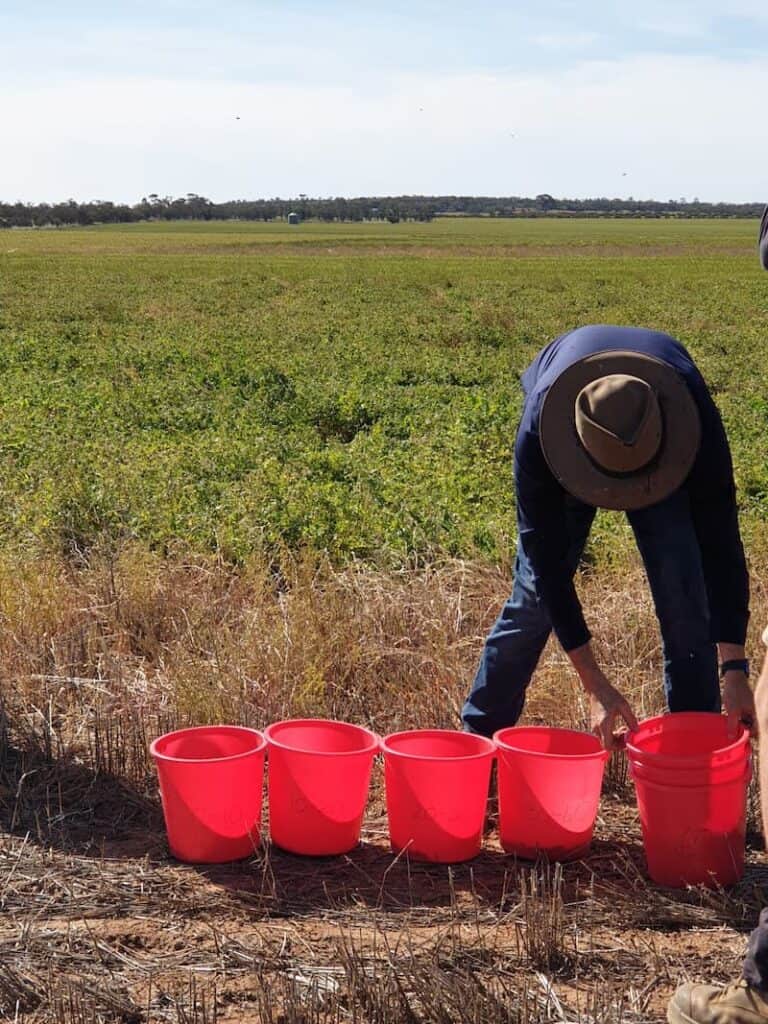 Laconik_Farm Trials tweet media