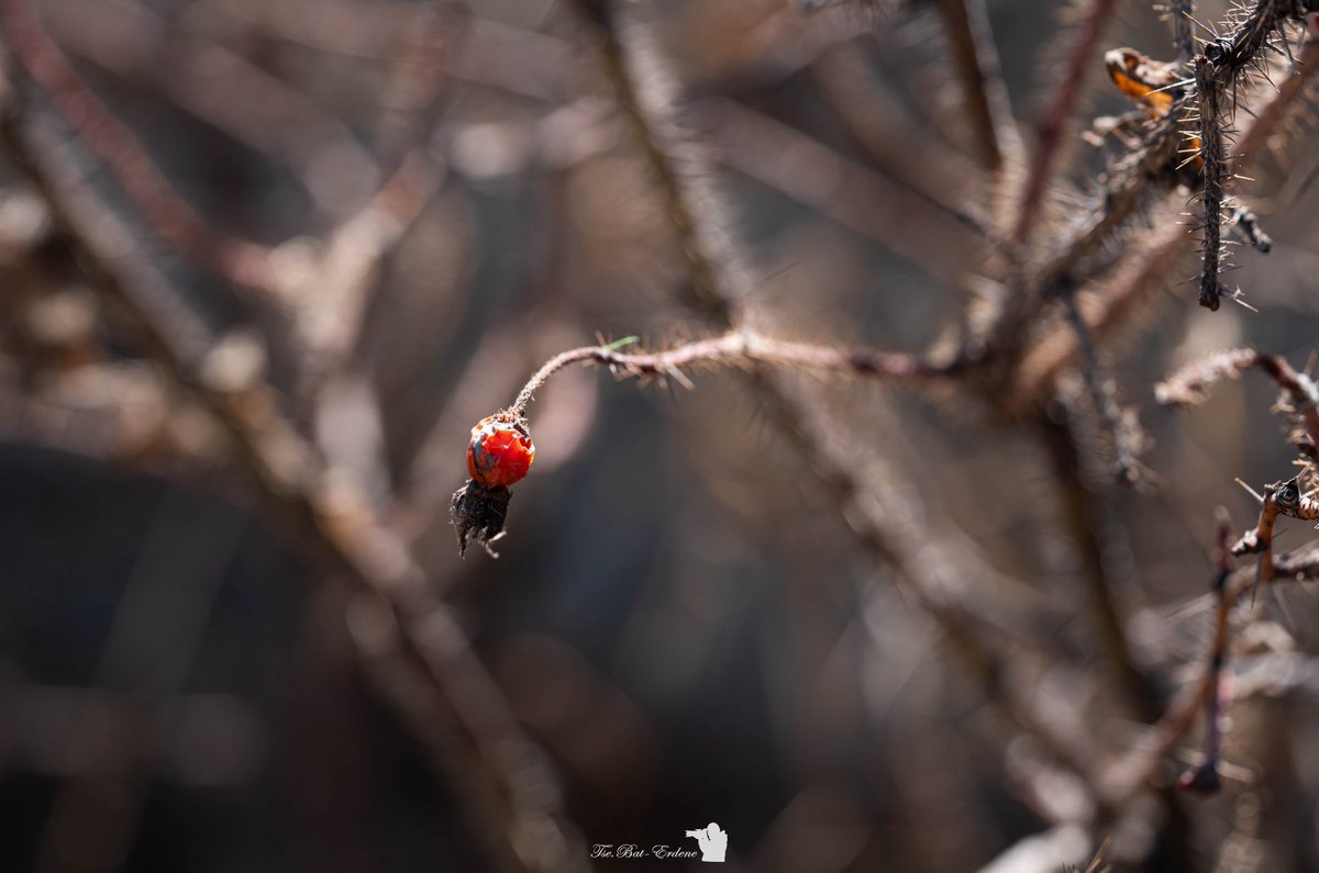 Өөрийгөө үргэлж гэгээн байлгахын төлөө санаж, сэрж, тэмцэж амьдраарай ❤️😘
Нэгэн сайхан өдрийн мэнд ээ 🌹👍