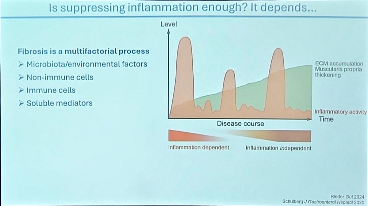 Michael Chiorean tweet media