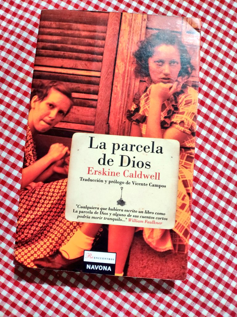 La obra maestra de Caldwell, posiblemente la cima de lo que se conoce como gotico sureño. 
No Faulkner, no Thomas Wolfe o Louis Bromfield. Si leyeron 'Tobacco Road' no se pierdan 'La parcela de Dios'