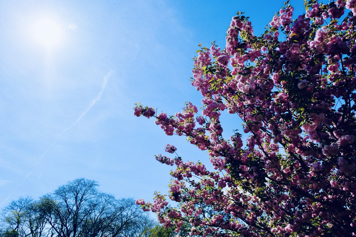 Matt Nelson tweet media