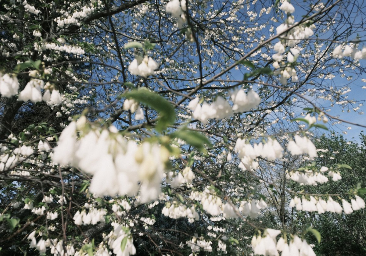 Matt Nelson tweet media