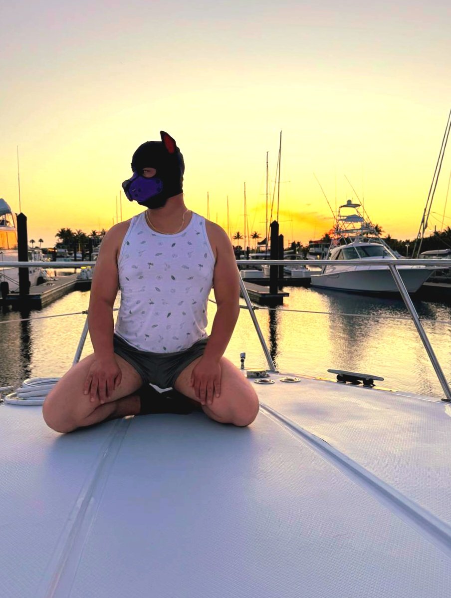 PupMoto's tweet image. Just a pup on a yacht in Key West 🛥