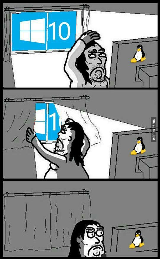 helldotrs's tweet image. 