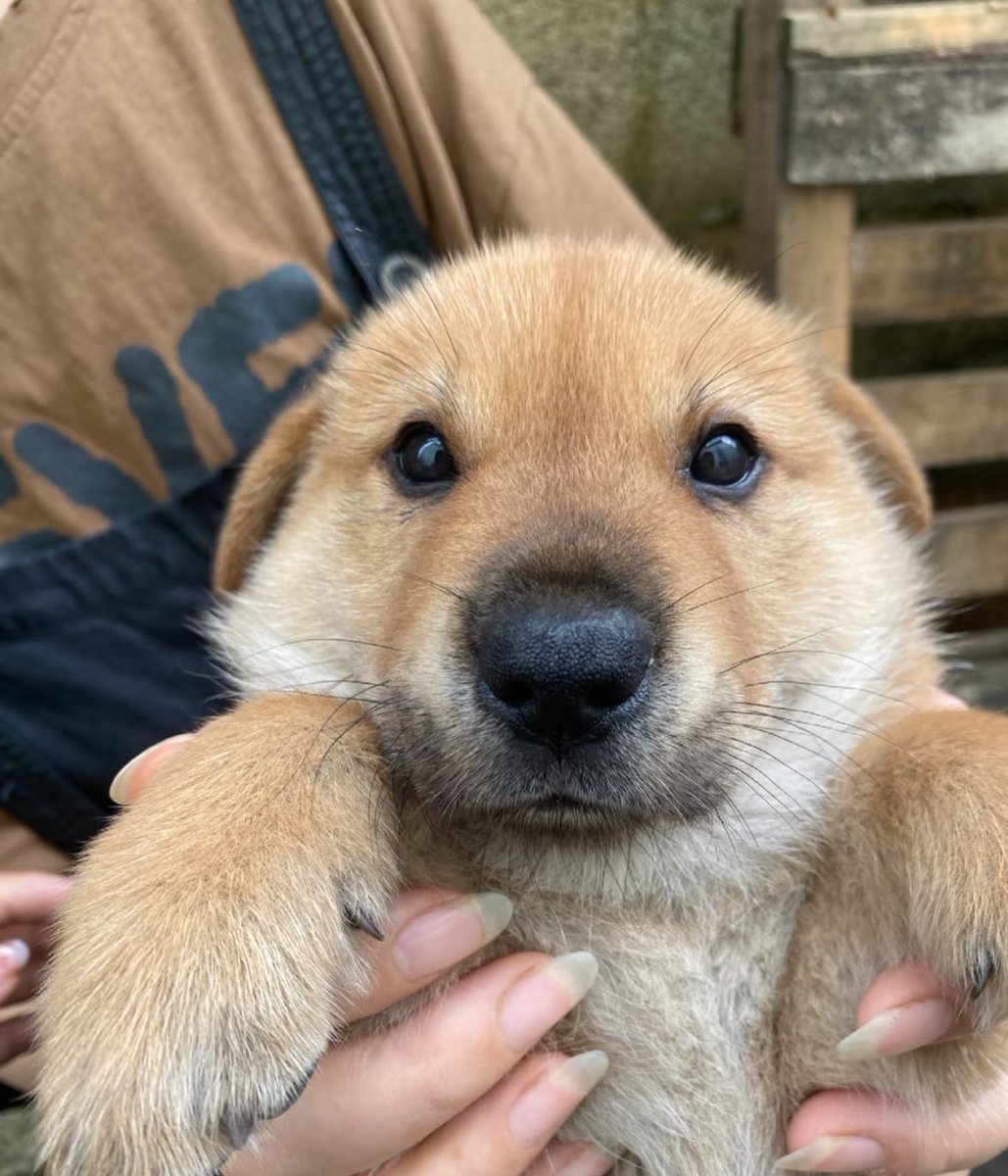 twaniimals's tweet photo. https://t.co/Yom8MQLOru